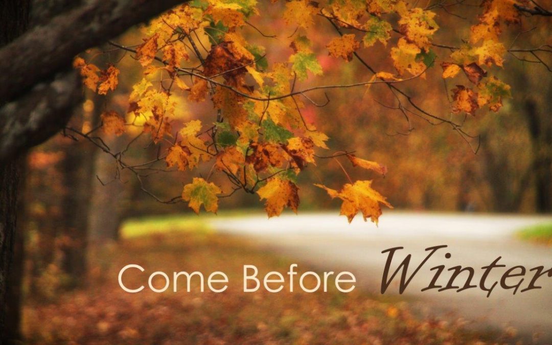 Come Before Winter